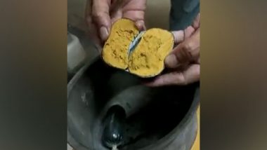 Man Tries To Smuggle Gold Worth Rs 42 Lakh by Hiding It in His Rectum, Caught by Customs Officers at Hyderabad Airport (Watch Video)