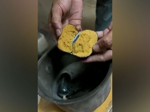 Man Tries To Smuggle Gold Worth Rs 42 Lakh by Hiding It in His Rectum, Caught by Customs Officers at Hyderabad Airport (Watch Video) - Vimarsana News