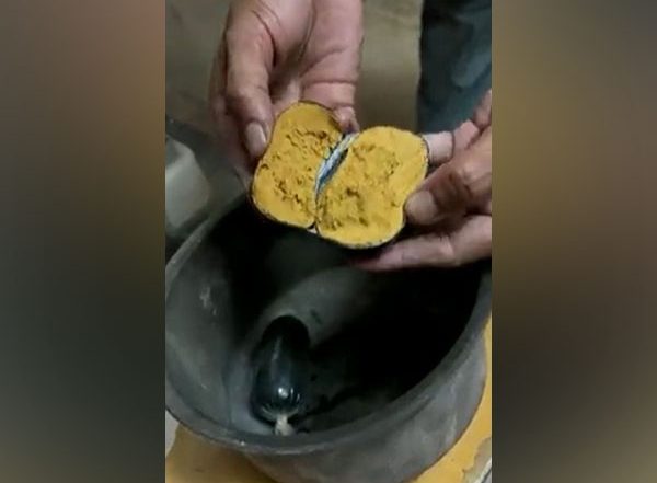 Man Tries To Smuggle Gold Worth Rs 42 Lakh by Hiding It in His Rectum, Caught by Customs Officers at Hyderabad Airport (Watch Video)