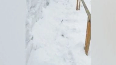 India News | Uttarakhand: Hemkund Sahib Yatra Suspended on Friday After Snow Covers Route