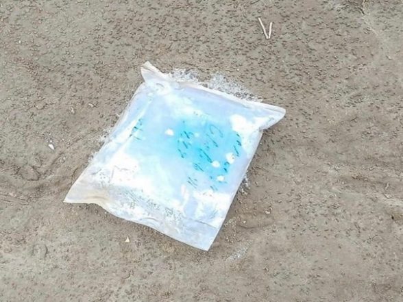 India News | BSF Recovers Suspected Drug Packet in Gujarat's Kutch - Vimarsana News