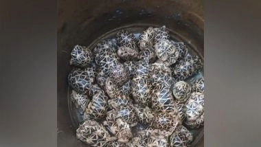 India News | BSF Rescues 140 Turtles from Smugglers on Indo-Bangladesh Border