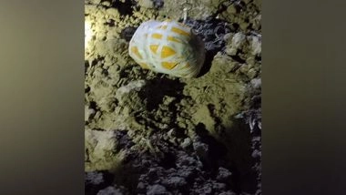 India News | BSF Recovers Suspected Packet of Heroin from Punjab's Amritsar