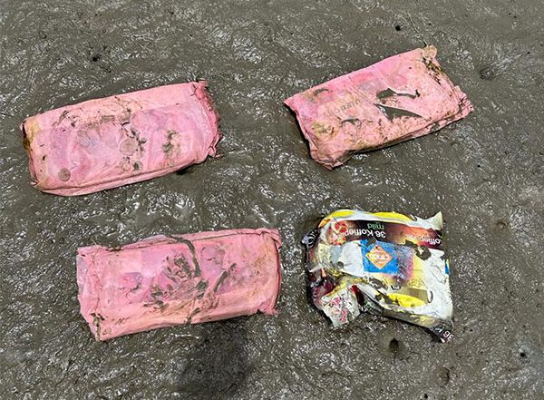 India News | Gujarat: BSF Recovers 5 Packets of Drugs off Jakhau Coast