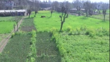 India News |  J-K: Small, Marginalized Farmers Script New Chapter in Agri-economy