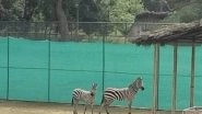 India News | Assam State Zoo Welcomes Five New Inmates