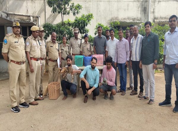 India News | Hyderabad Police Rescues Several Exotic Animals in Jubilee Hills, Pub Owner Including 7 Held