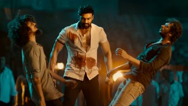 Chatrapathi Full Movie in HD Leaked on Torrent Sites & Telegram Channels for Free Download and Watch Online; Bellamkonda Sai Sreenivas' Film Is the Latest Victim of Piracy?