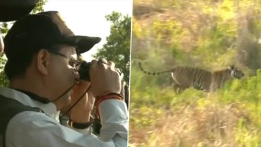 Tigress Released in Rajaji National Park Video: Uttarakhand CM Pushkar Singh Dhami and Bhupender Yadav Release Big Cat in Motichur Range
