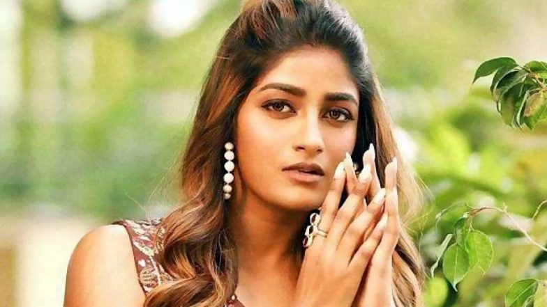 Dimple Hayathi in Legal Trouble; Tollywood Actress and Her Friend Booked for Allegedly Damaging IPS Officer's Car