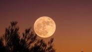Last Supermoon of 2023: Harvest Moon to Shine This Week, Joined by Jupiter, Saturn and Mercury in Night Sky, Know Details Here