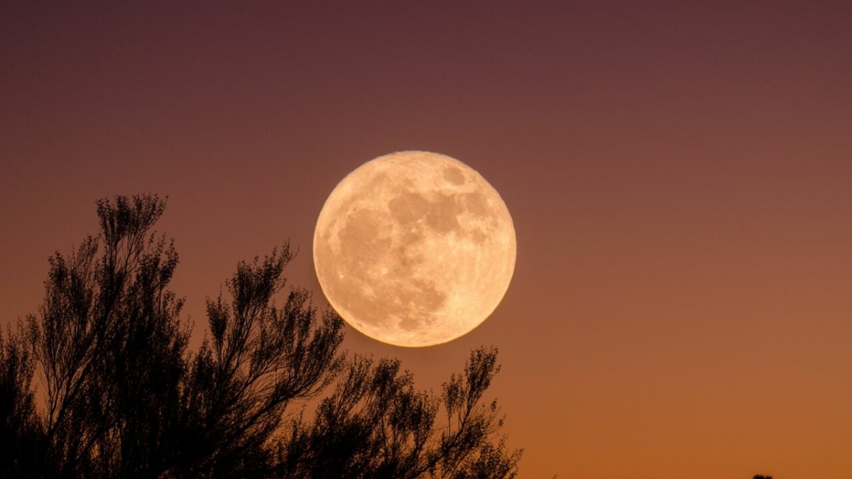 July full moon 2023: See the Buck Moon shine with 4 planets