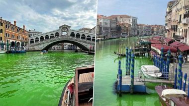 Grand Canal Turns Green: Italian Authorities Launch Probe After Grand Canal Water in Venice Turns Fluorescent Green (See Pics and Videos)