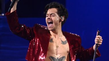Harry Styles Pauses Concert to Make His Female Fan Dump Her Boyfriend