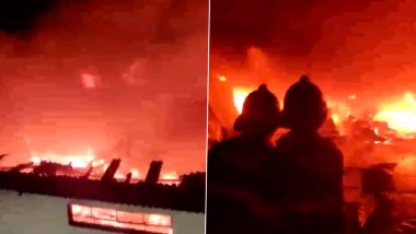 Pune Fire: Massive Blaze Erupts At Godown in Wagholi, Three Dead (Watch Video)