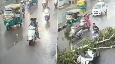 Rajasthan Rains: Tree Falls on Moving Scooter in Jodhpur As Heavy Rains and Gusty Winds Lash City, Three Injured (Watch Video)