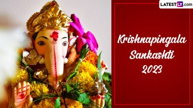 Krishnapingala Sankashti Chaturthi 2023 Images & HD Wallpapers for Free Download Online: WhatsApp Messages, Wishes and Quotes for Sankashti Chaturthi