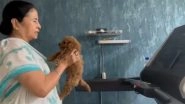 Mamata Banerjee Workout Video: West Bengal CM Walks on Treadmill in Saree Holding Her Puppy, Says 'Need Some Extra Motivation' (Watch)