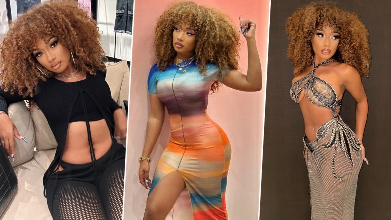 Megan Thee Stallion Shows Off Her Hourglass Curves and Natural Curls in Latest Insta Pics!