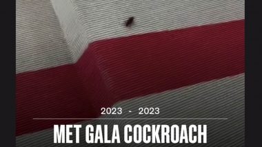Met Gala 2023: Cockroach, That Made Its 'Red Carpet Debut', Dies After Getting Stepped On! (View Pics)