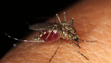Malaria, Dengue, Zika Virus Outbreak More Likely in Coming Years? Mosquito-Borne Diseases May Rise Due to Climate Change, Warns Expert
