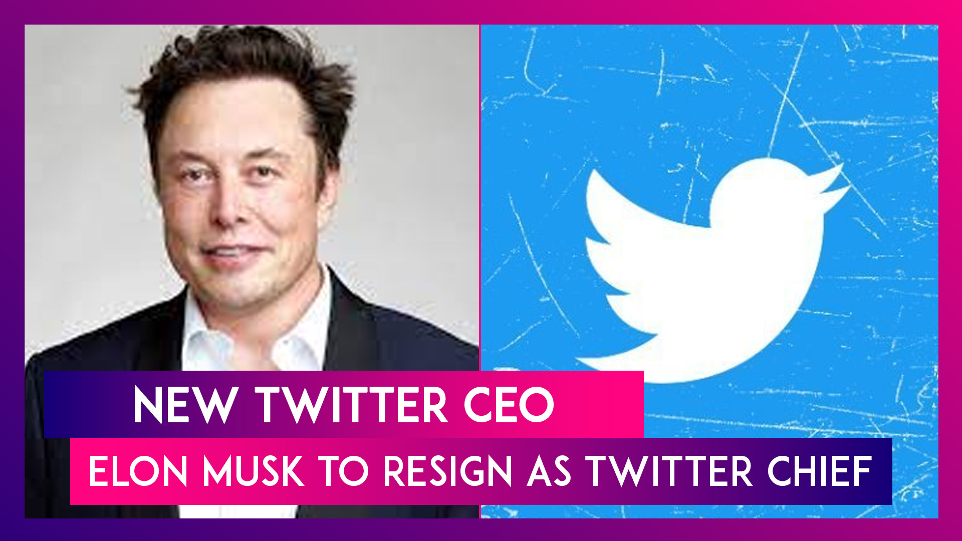 New Twitter CEO: Elon Musk To Resign As Twitter Chief & Become Executive Chairman & CTO, Says Have Hired A Woman