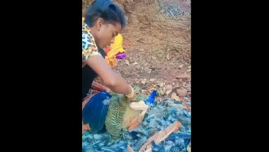 Man Tortures Peacock in Viral Video, Seen Brutally Plucking Feathers of Bird in Madhya Pradesh's Katni