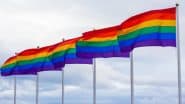 Pride Month 2023: What Is 2S in the 2SLGBTQIA+? Know All About the Acronym and Its Transformation