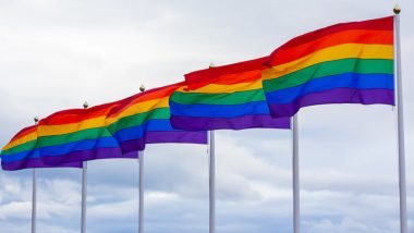 Pride Month 2023: What Is 2S in the 2SLGBTQIA+? Know All About the Acronym and Its Transformation