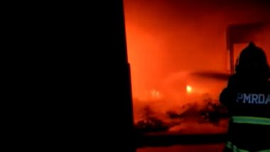 Pune Fire Today Video: Blaze Erupts at Gowdown in Wagholi, Products Worth Lakhs Destroyed