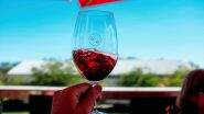 National Wine Day 2023 Date: Know History and Significance of the Day That Celebrates Wine and Wine Lovers