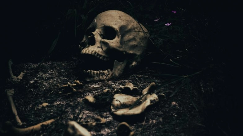 Human Skeleton Found in Drain in Sector 136, Probe Underway