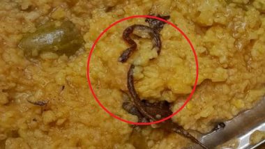Snake Found in Midday Meal in Bihar! Several Kids Taken To Hospital After Dead Snake Recovered From Food in Araria School (See Pic)