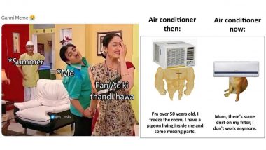 Summer 2023 Funny Memes and ‘Haye Garmi’ Jokes: Netizens Beat the Summer Heat by Sharing Hilarious Tweets With Family and Friends