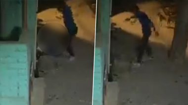 Delhi Girl Murder Video: 16-Year-Old Stabbed, Stoned to Death by Boyfriend in Shahbad Dairy Area, Disturbing Incident Caught on CCTV Camera