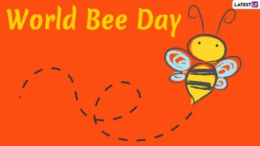 World Bee Day 2023 Date & Theme: Know the History and Significance of the Day That Highlights the Role of Bees in the Ecosystem