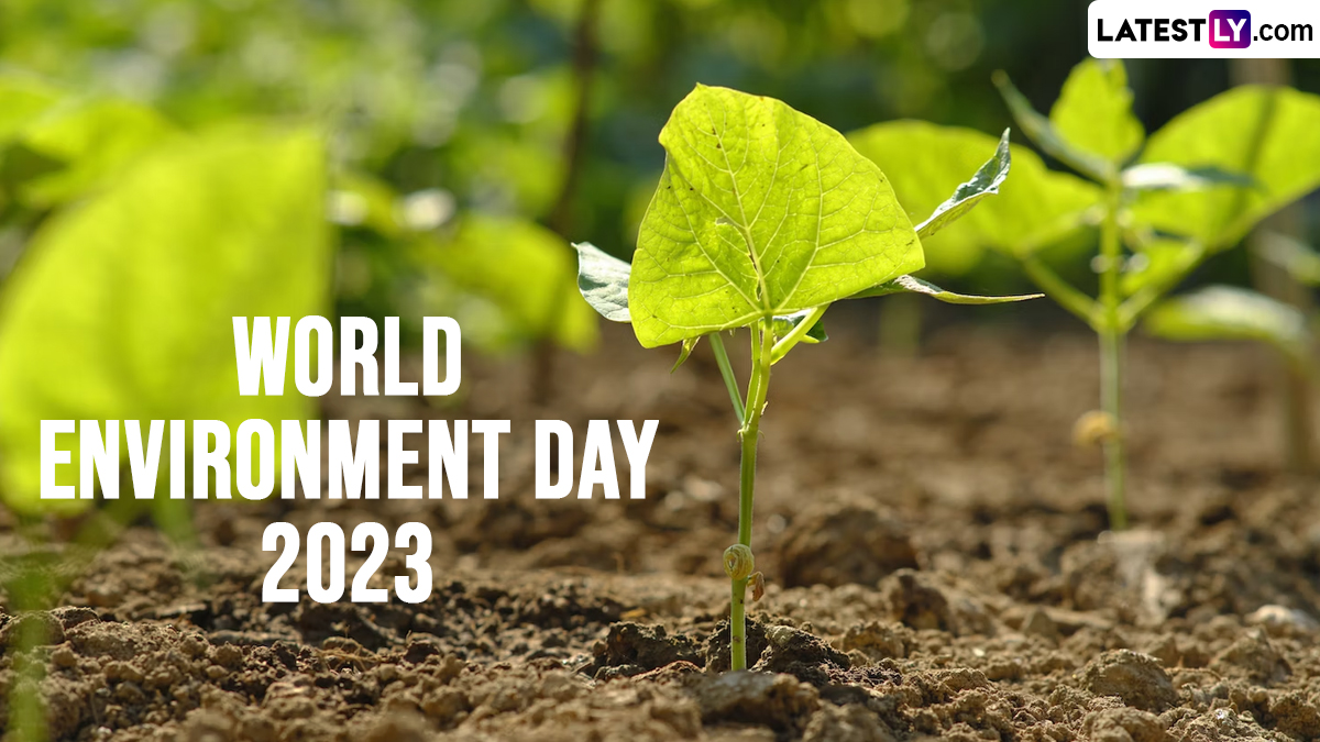 Festivals & Events News | Happy Environment Day 2023 Messages ...
