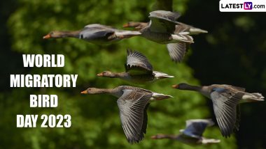 World Migratory Bird Day 2023 Date and Theme: Know History and Significance of the Day That Calls for the Conservation of Migratory Birds