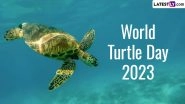 World Turtle Day 2023 Date: Know History and Significance of the Day That Aims at Protecting Turtles and Their Habitat