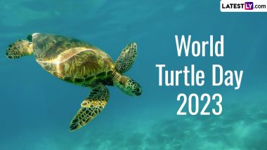 World Turtle Day 2023 Date: Know History and Significance of the Day That Aims at Protecting Turtles and Their Habitat