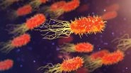 AI Helps US Researchers Develop New Antibiotic That Can Kill Deadly Species of Pneumonia-Causing &lsquo;Superbug&rsquo;