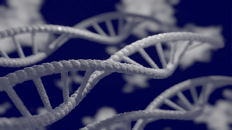 Protein Can Improve Muscle Function in Duchenne Muscular Dystrophy, Reveals Study
