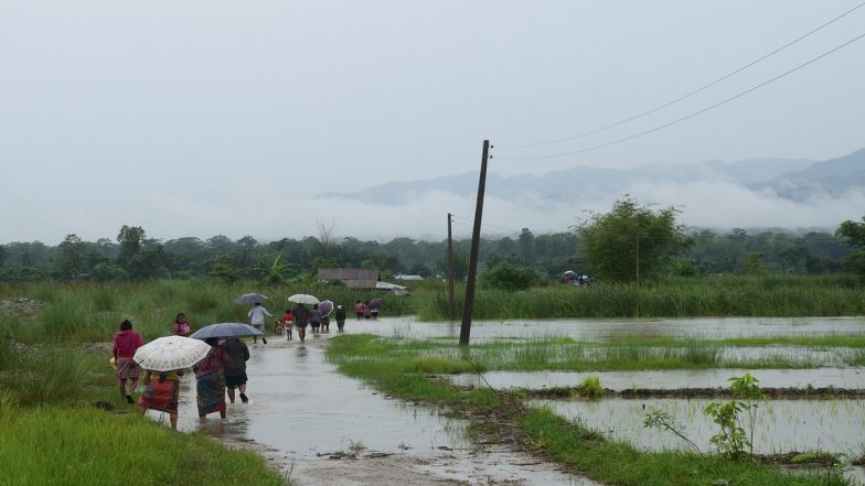 Himachal Pradesh Rains: Over 200 People Including Tourists Stranded Near Baggi Bridge As Flash Flood Hits Bagipul Area of Mandi District