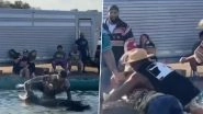 Stunt With Crocodile Goes Horribly Wrong! Man Puts His Foot Inside Crocodile&rsquo;s Mouth, What Happens Next Will Leave You Terrified (Watch Video)