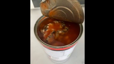Snake Inside Packed Food! Wales Woman Finds Dead Serpent in Can of Baked Beans With Distinctive Black and Grey Markings