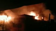 Assam: Massive Fire Breaks Out at Clothing Store in Sivasagar Market Area, Firefighters Carry Out Operation (Watch Video)