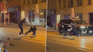 Snake Attack! Man Attacks Another With Living Python During Street Fight in Toronto, Horrifying Video Goes Viral