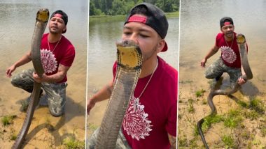 Man Kisses 12-Foot-Long King Cobra on Head, Terrifying Viral Video Will Send Chills Down Your Spine