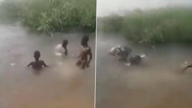 Hippopotamus Suddenly Appears Near Children Casually Playing in Water, Makes Them Run for Their Lives; Scary Old Video Goes Viral Again