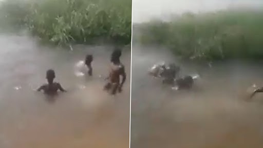 Hippopotamus Suddenly Appears Near Children Casually Playing in Water, Makes Them Run for Their Lives; Scary Old Video Goes Viral Again